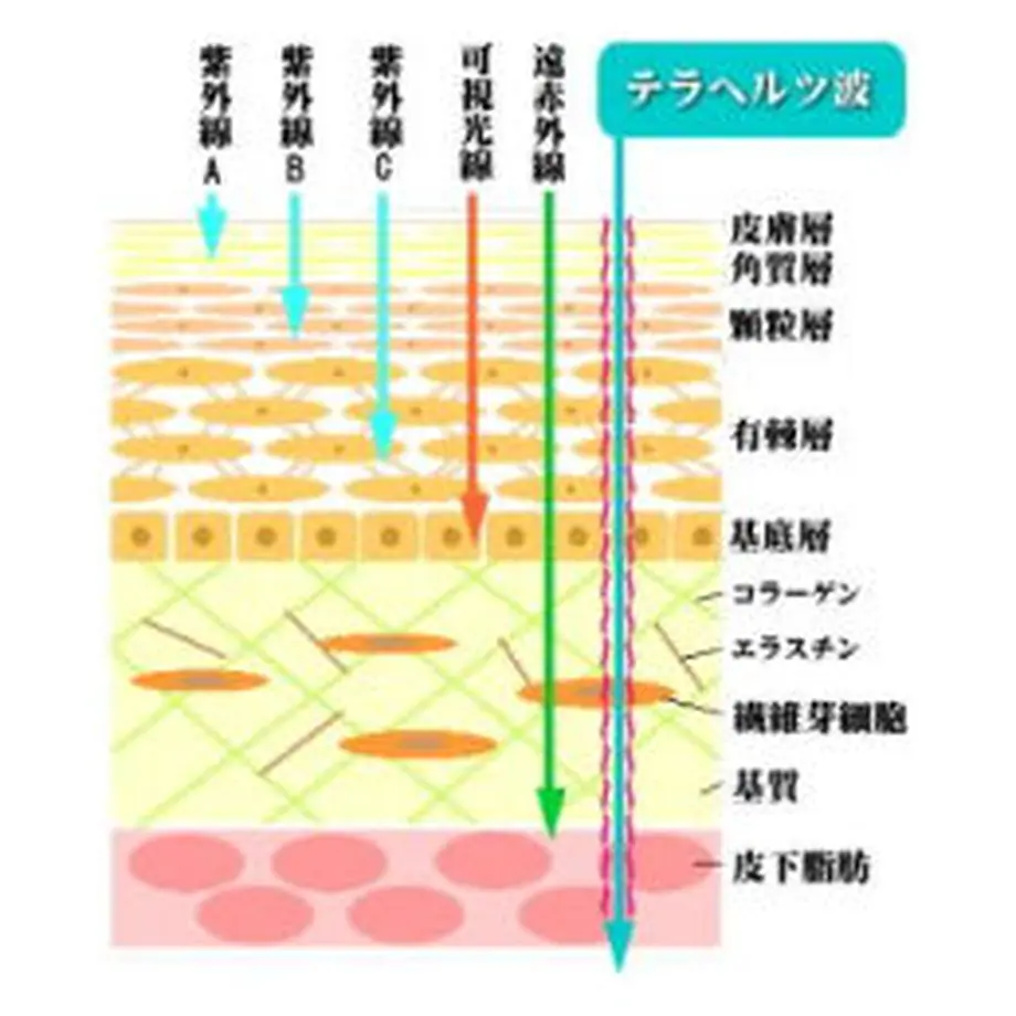60114ff72438600fb3133b45