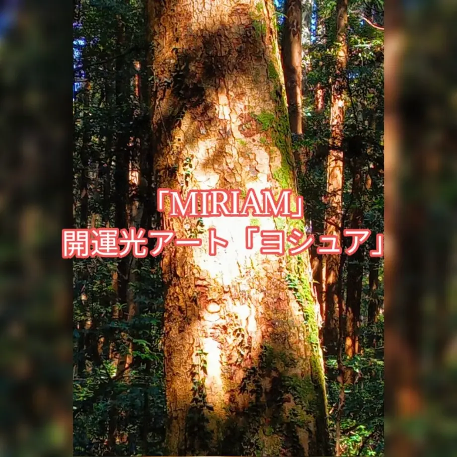 624ff534c9883d6c20192ad4