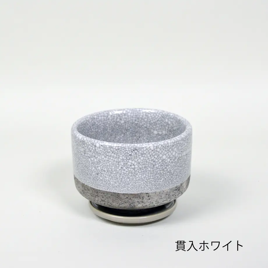60b875e54be7ef6a569ec36a