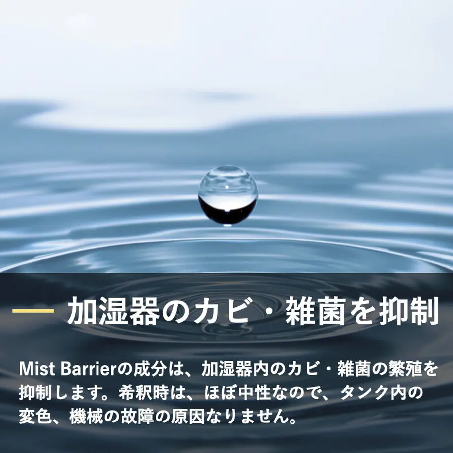 5ff07b36b00aa334af3395f8