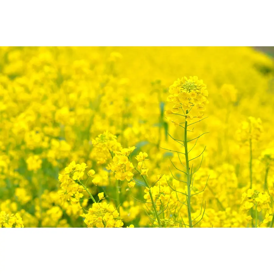 5b6325285496ff760a00112a