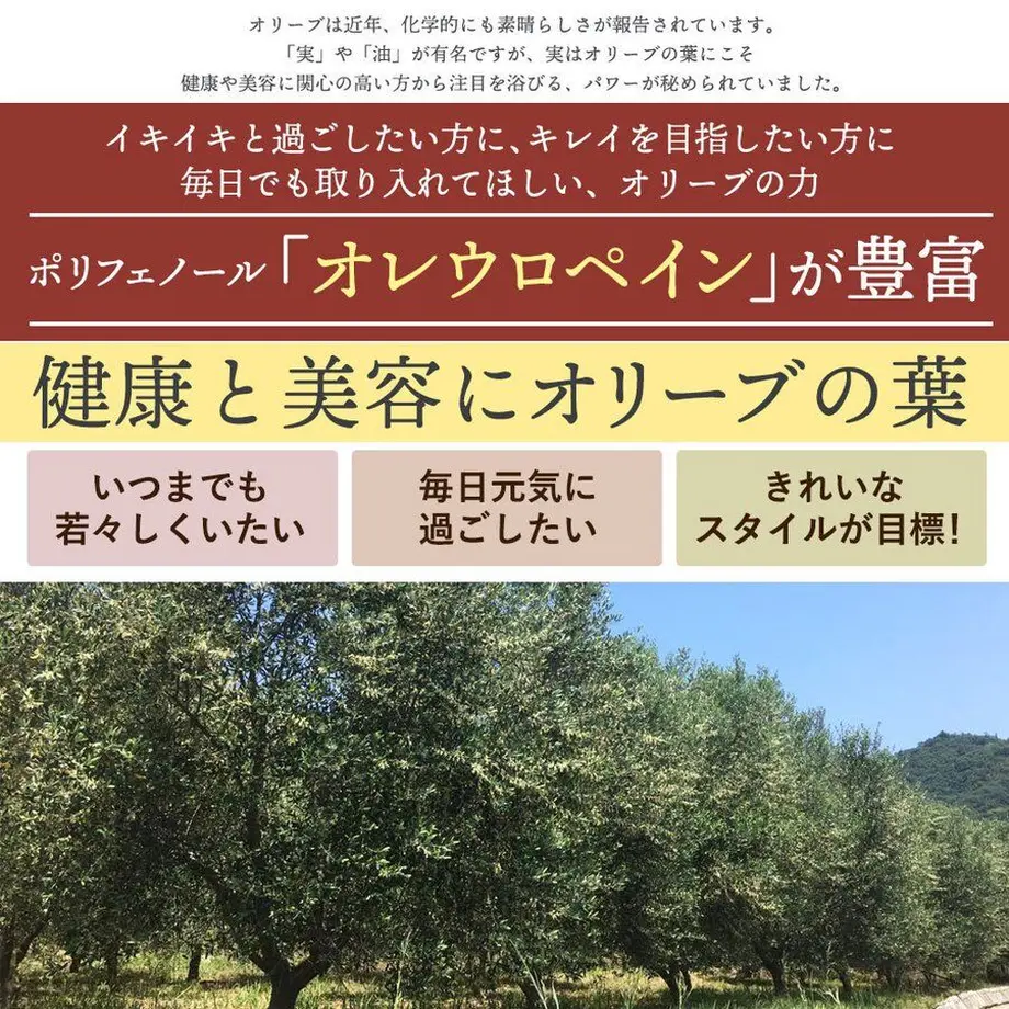 60f537200d4f3a22fd5f4b5b