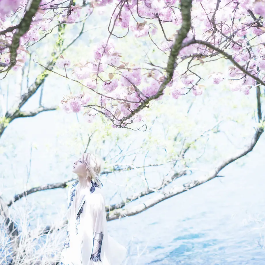5f9bba6872eb463a89b610d6