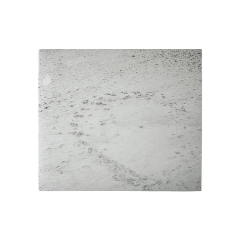 6041d408aaf0432a2c7cb29c