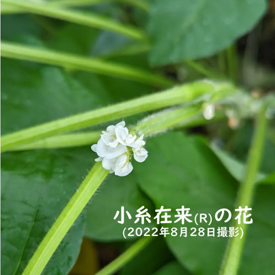 59c0b8f1b1b6195802000a46