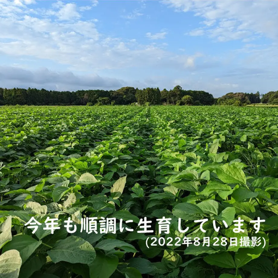 5f47c96cafaa9d3f4af122ba
