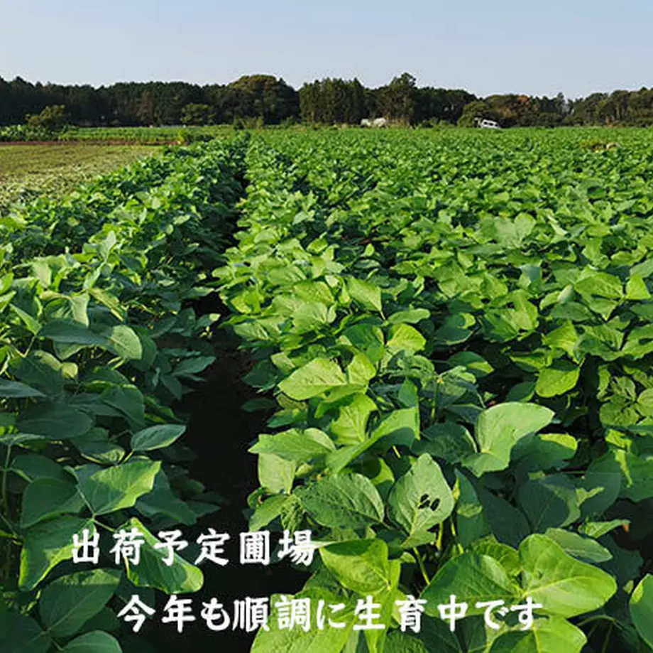 5d696ddbd0f2561695101856