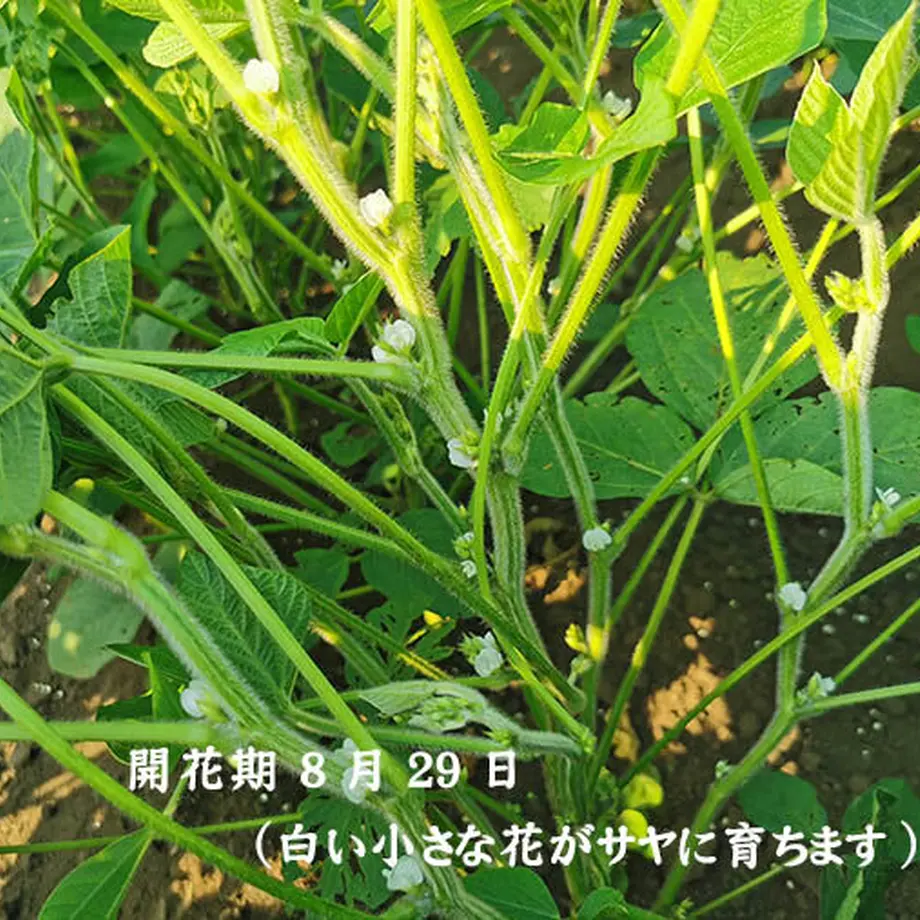 5d696ddbd0f2561695101856