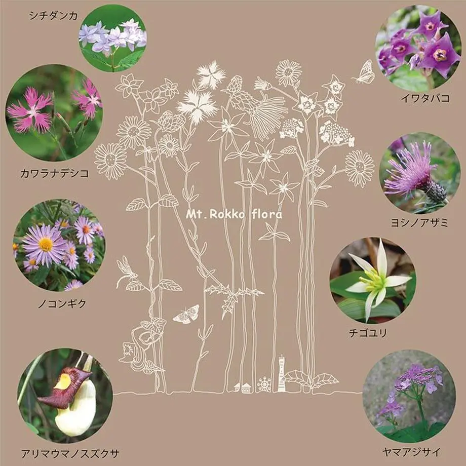 62b559b39a706250ec7012ea