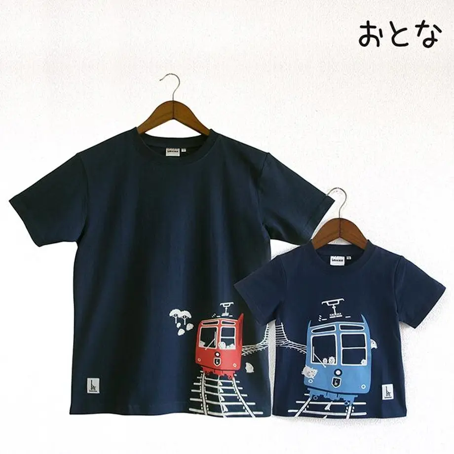 5b63c93450bbc36e250006e4