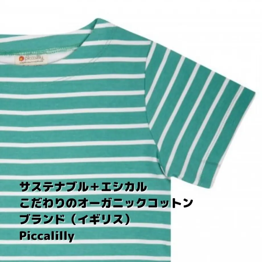 60988d45e70dc41f50ae8845