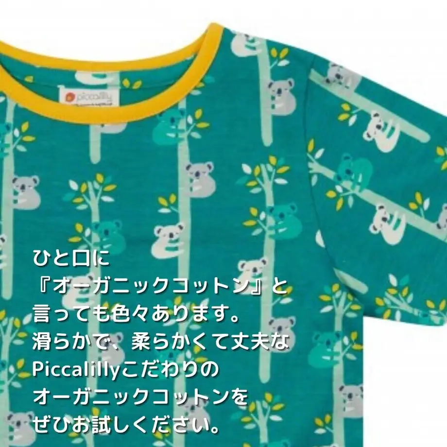 60988b50f3c5e71b11f4466e