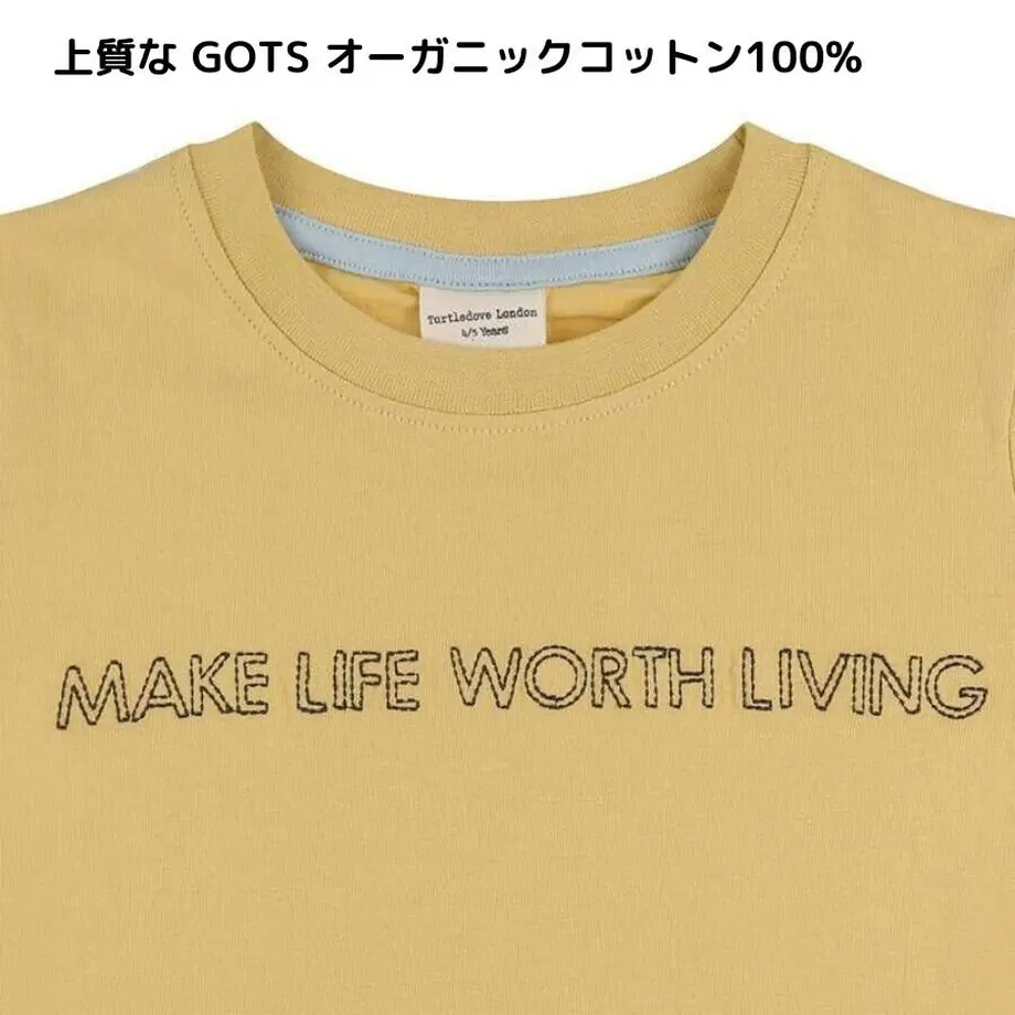 608b89cac9827a0c6217233b
