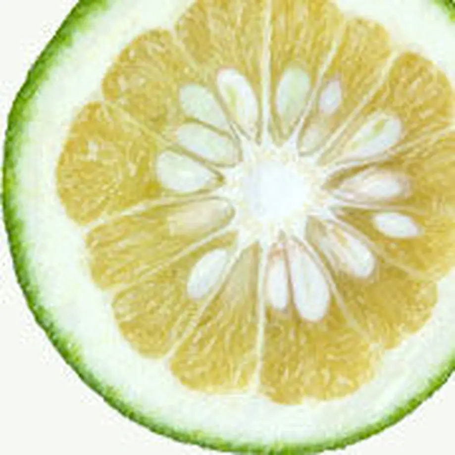 5934e944b1b6196c6e0010f6