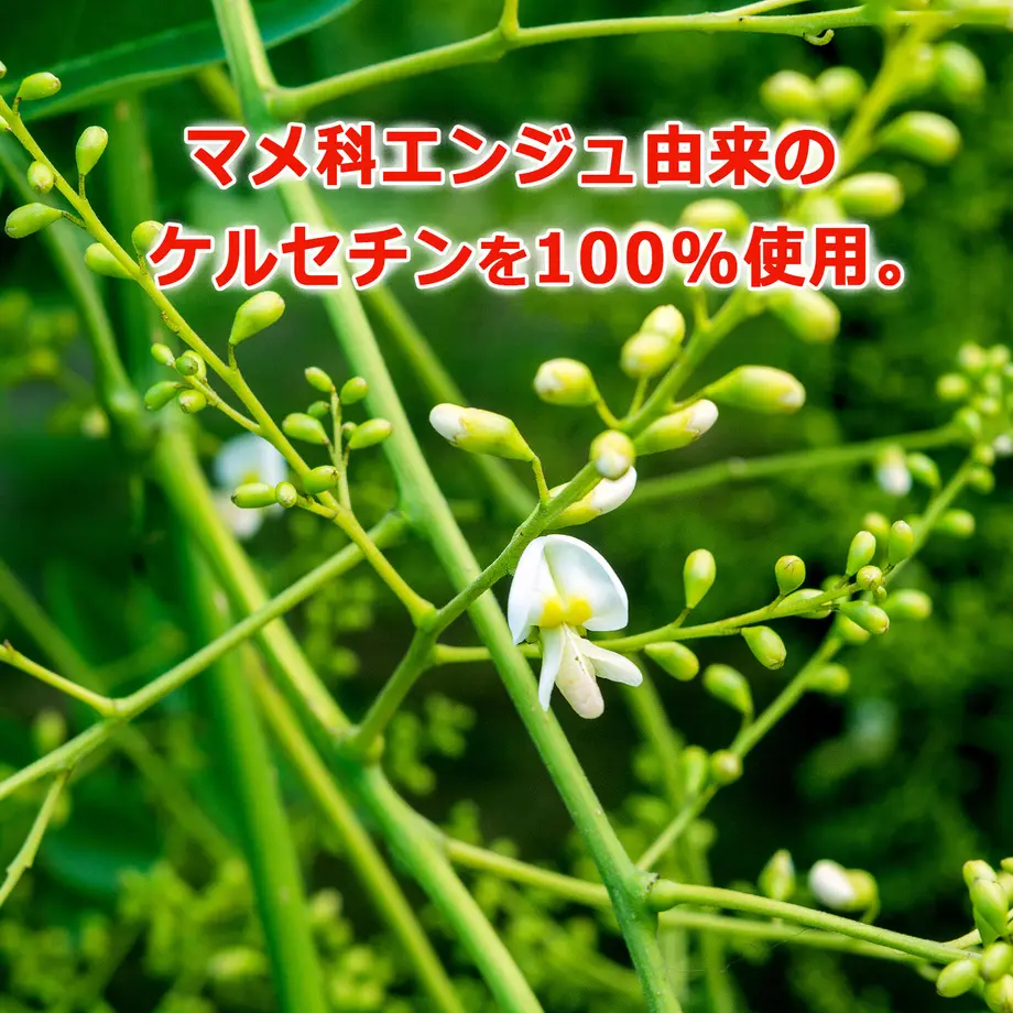 605853e923055720720ec5c3