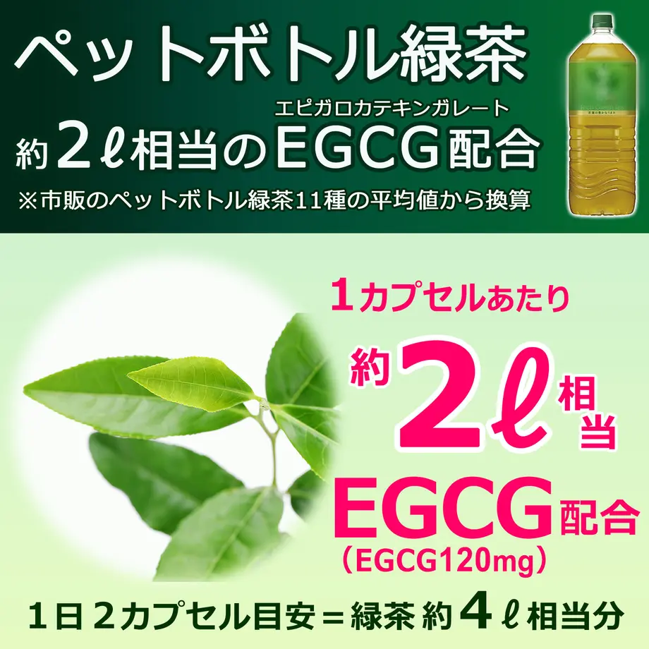 60c1c3ee02a5894362614e4c