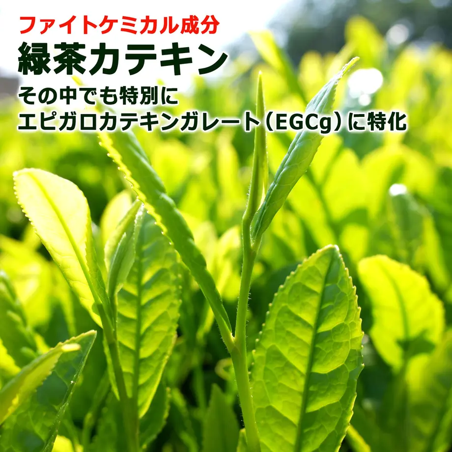 605853e923055720720ec5c3