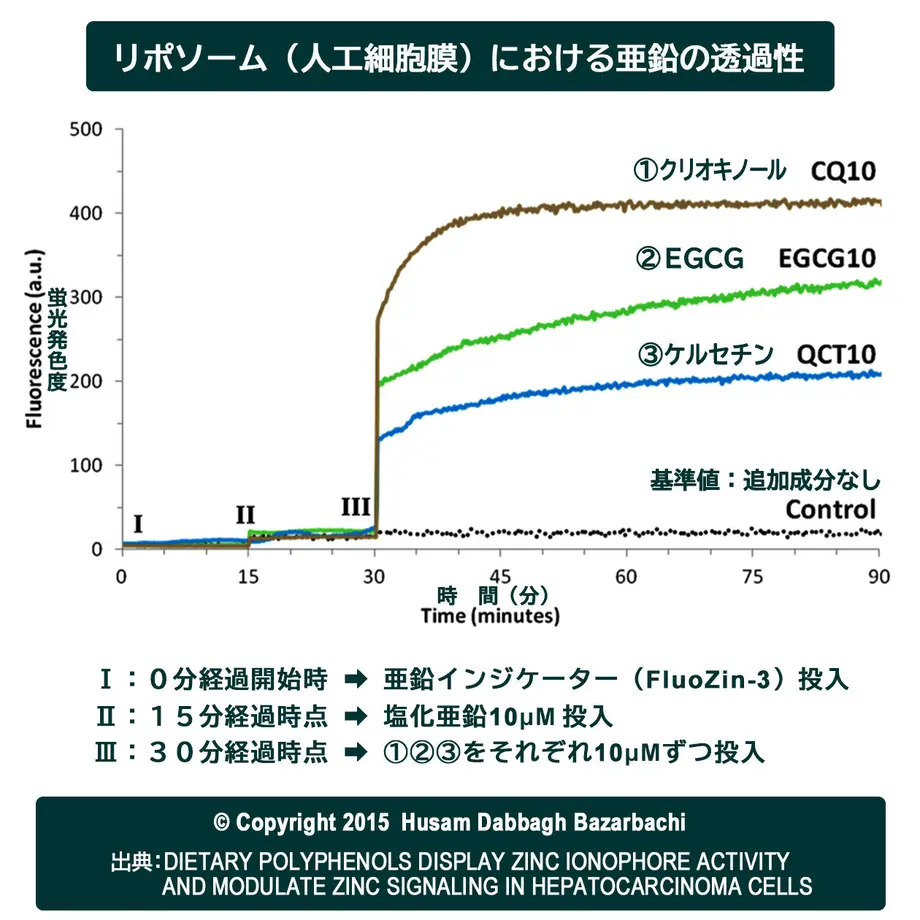 5f79d48507e1636fd131299a