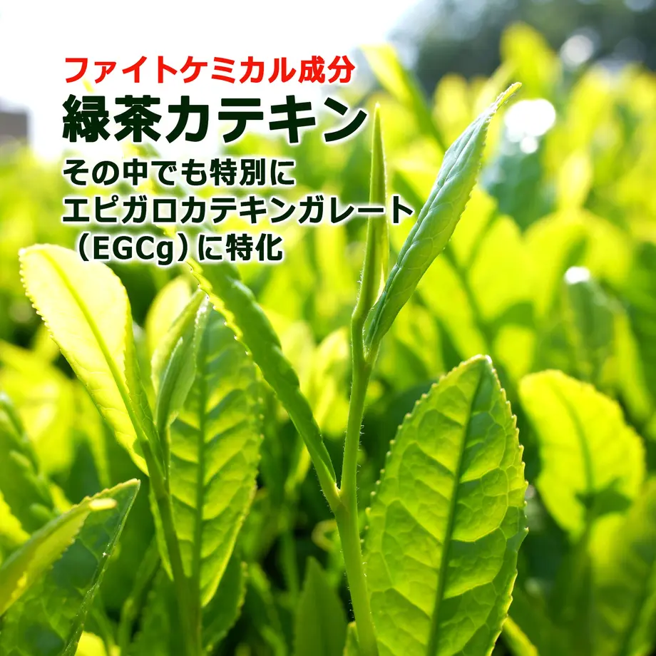 5f78988093f6194e17ab134b