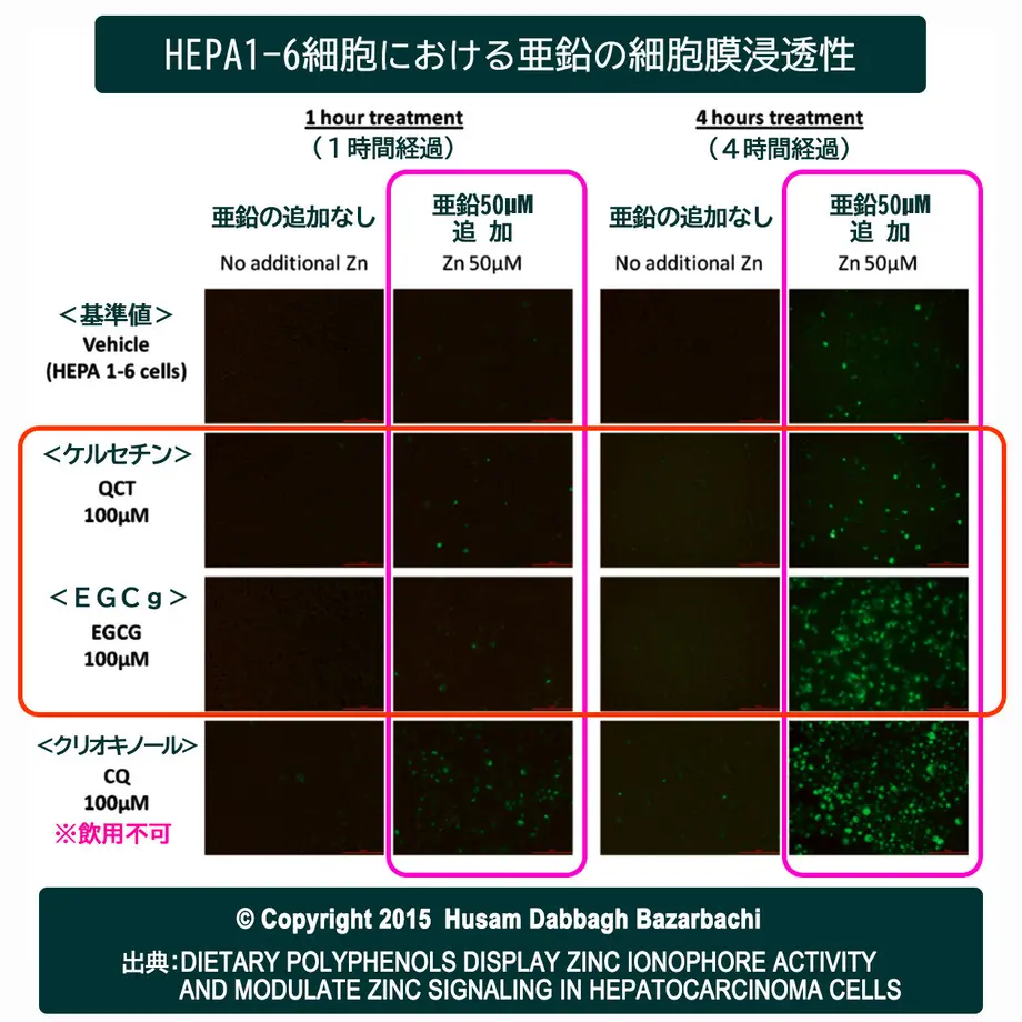 5f79d48507e1636fd131299a