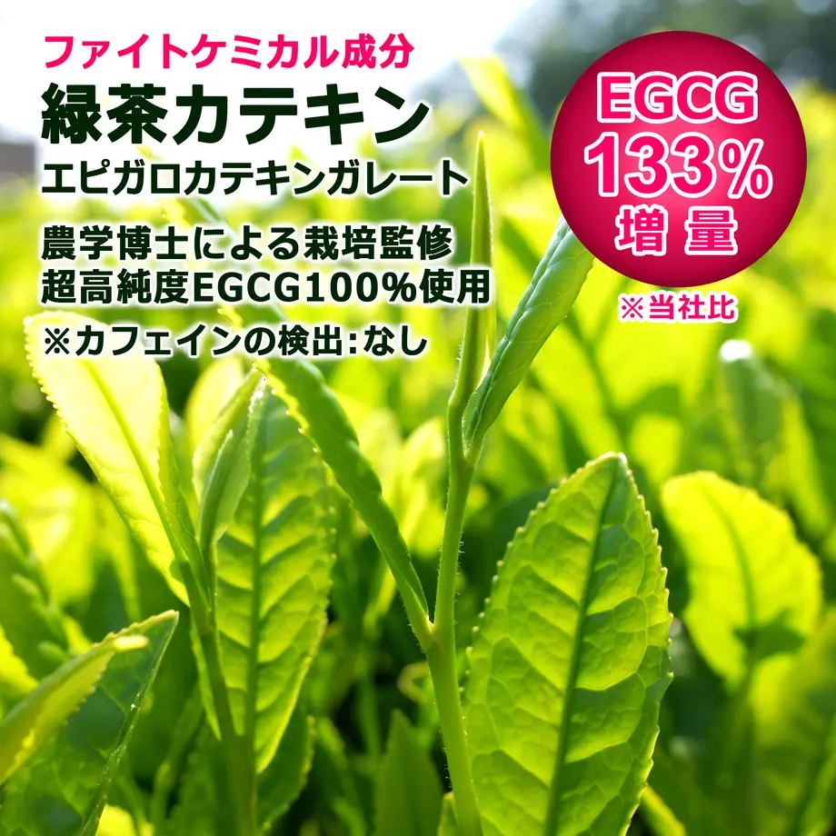 60c1c3ee02a5894362614e4c