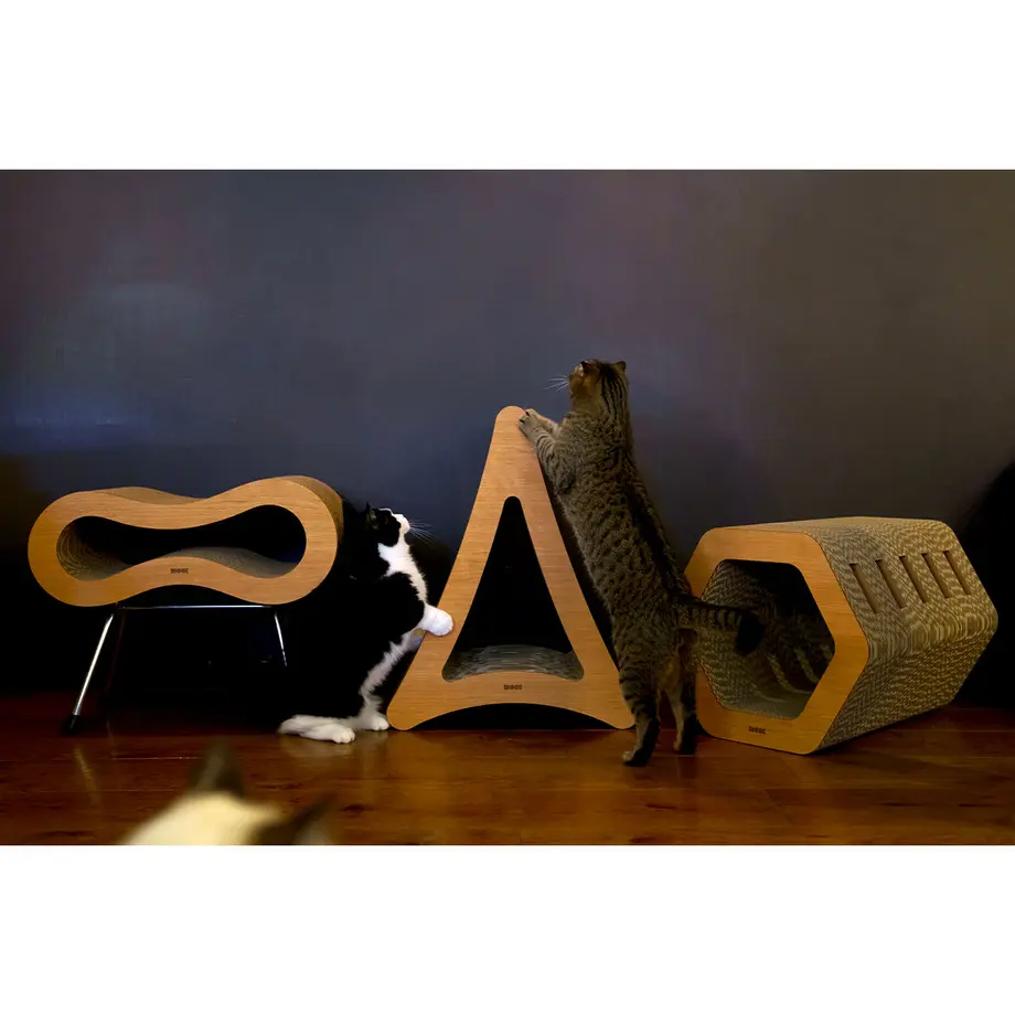 61c3d9b0c725861cf133849d