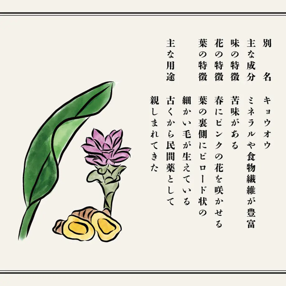 62cd2143a06d5c3e08a2c148