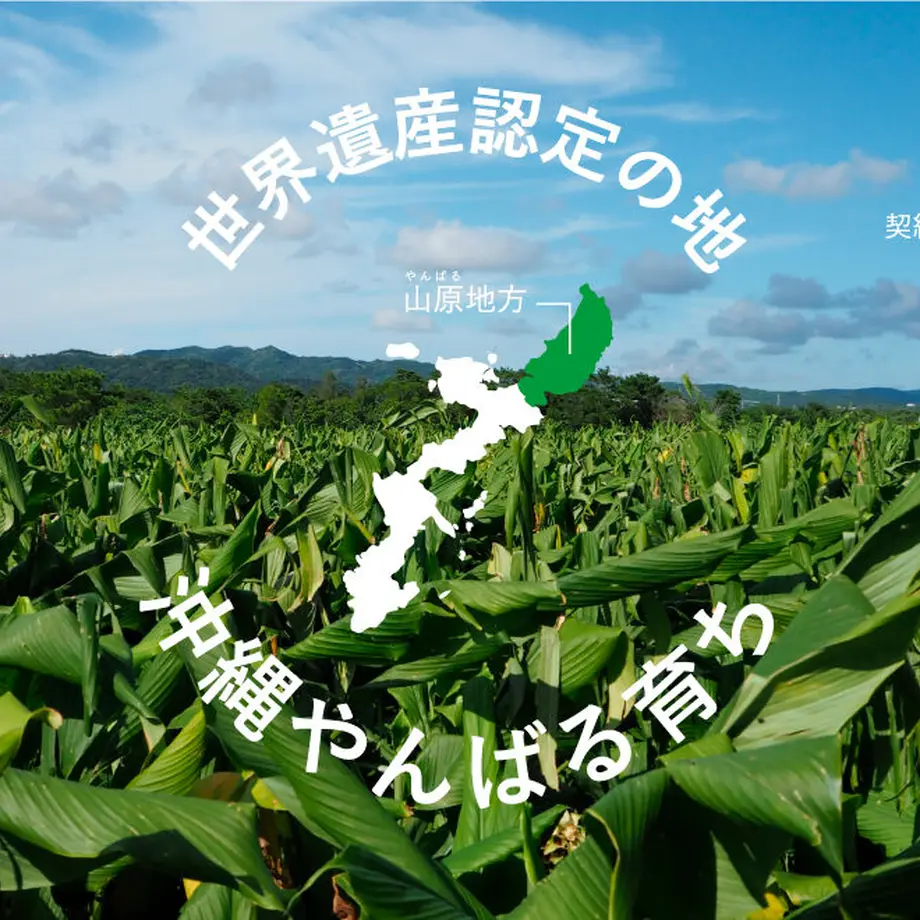 62cd268b00460773f1474fc3