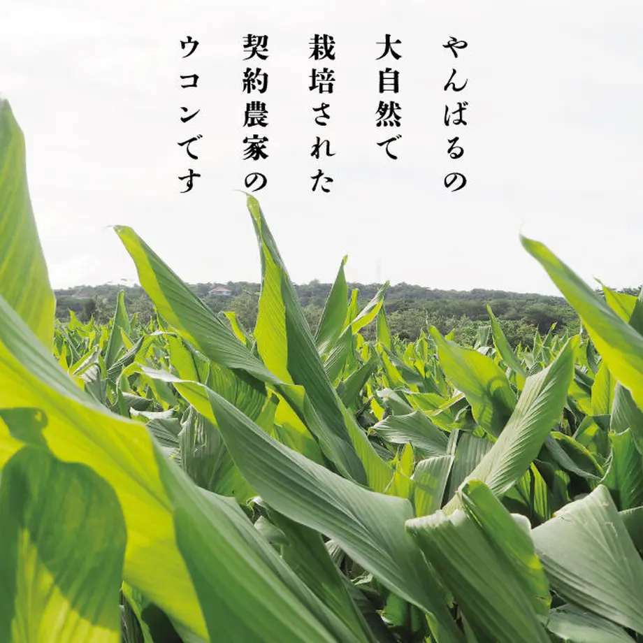 62cd238dd85874562b81750a