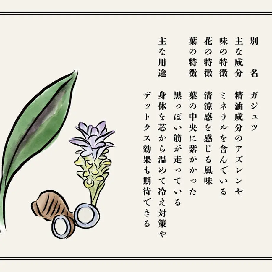 62cd2058e50c0b18749650d9