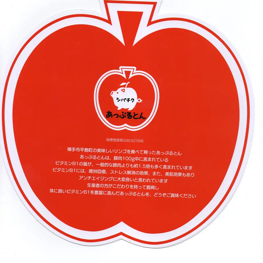 5e4b764f94cf7b3465d18d56