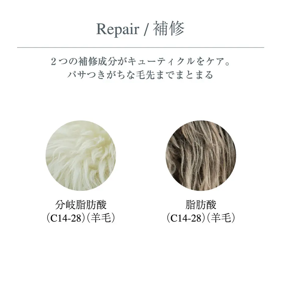 60755af6d263f055229a6654