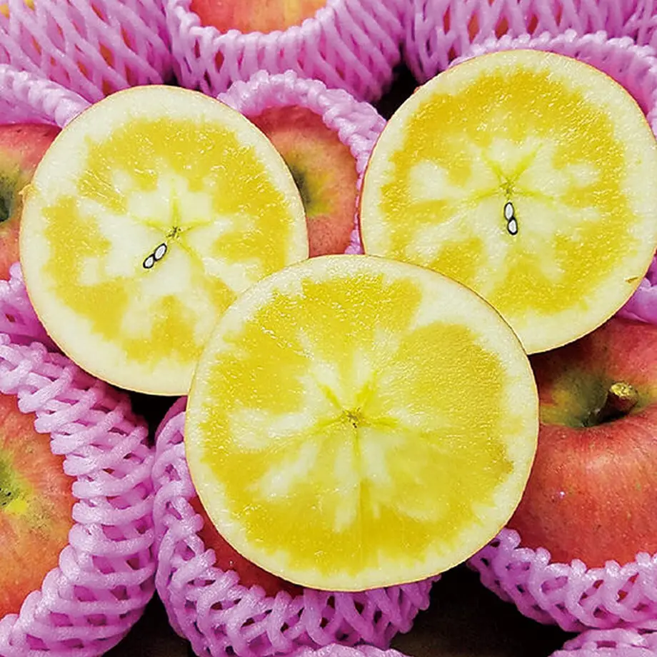 630eb788e5b11726426658b7
