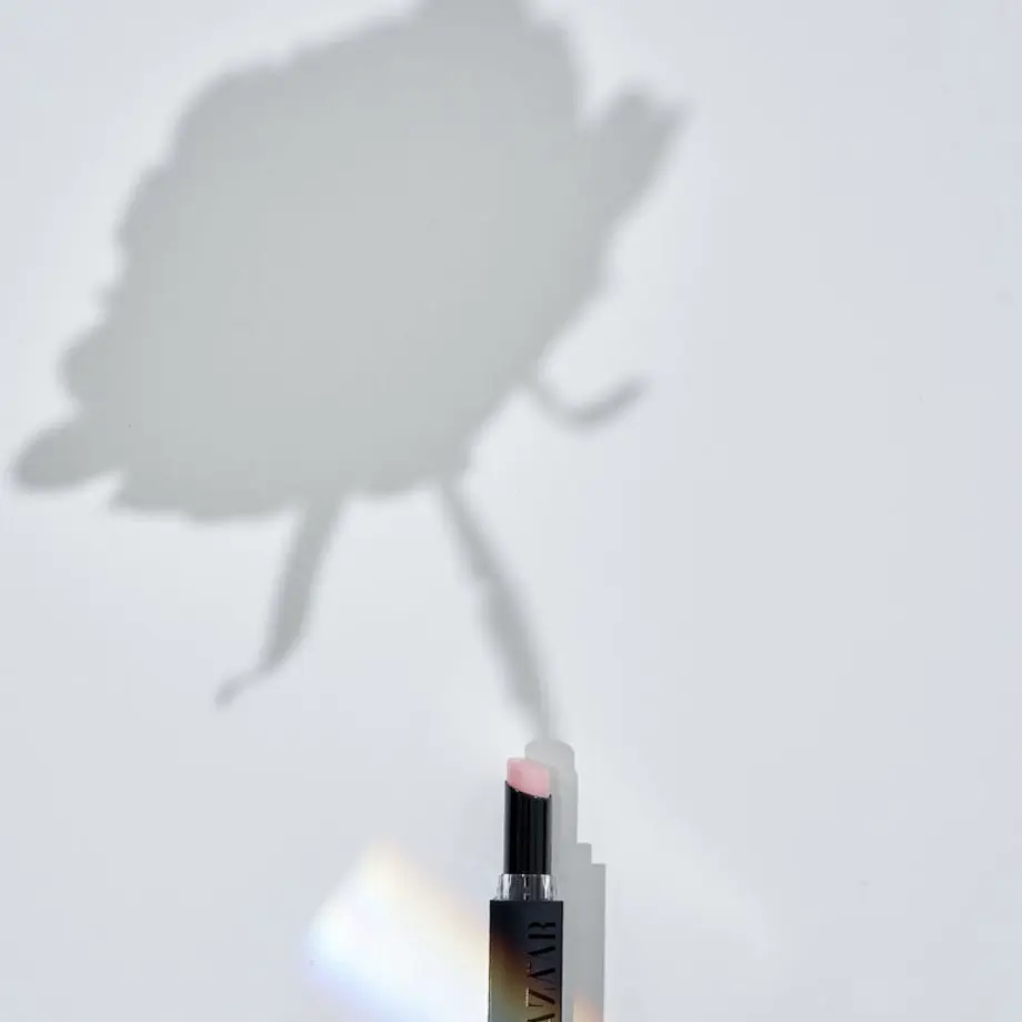 61fce7c2fd2e730650a3d548