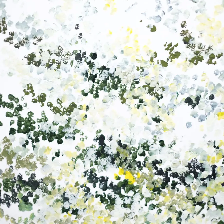 62d0c9810850a070c0f52fb8