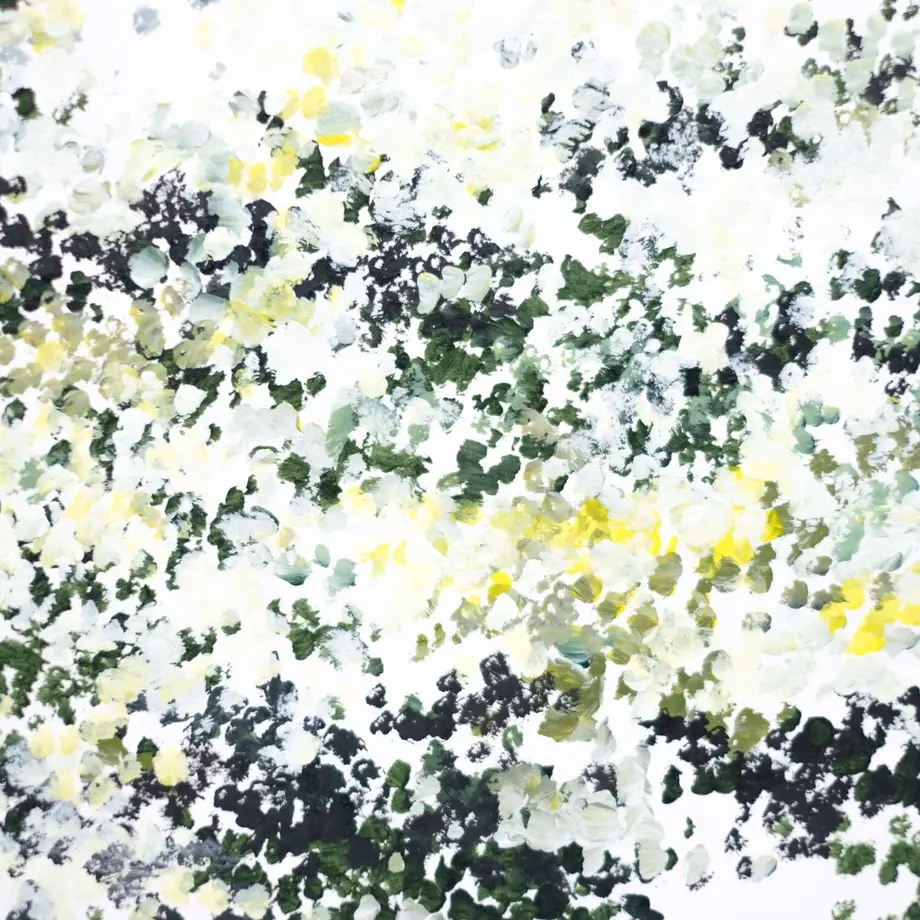 62d0c9810850a070c0f52fb8