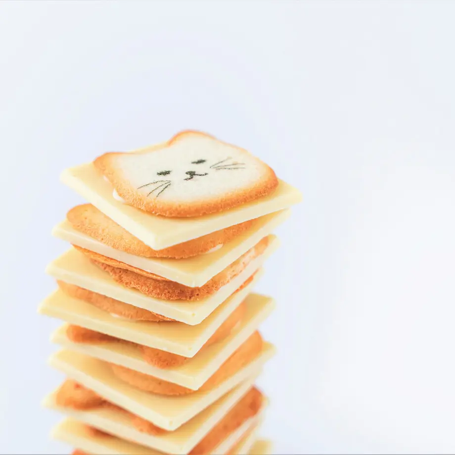 611cf644e50c0b2a1fc50fd0