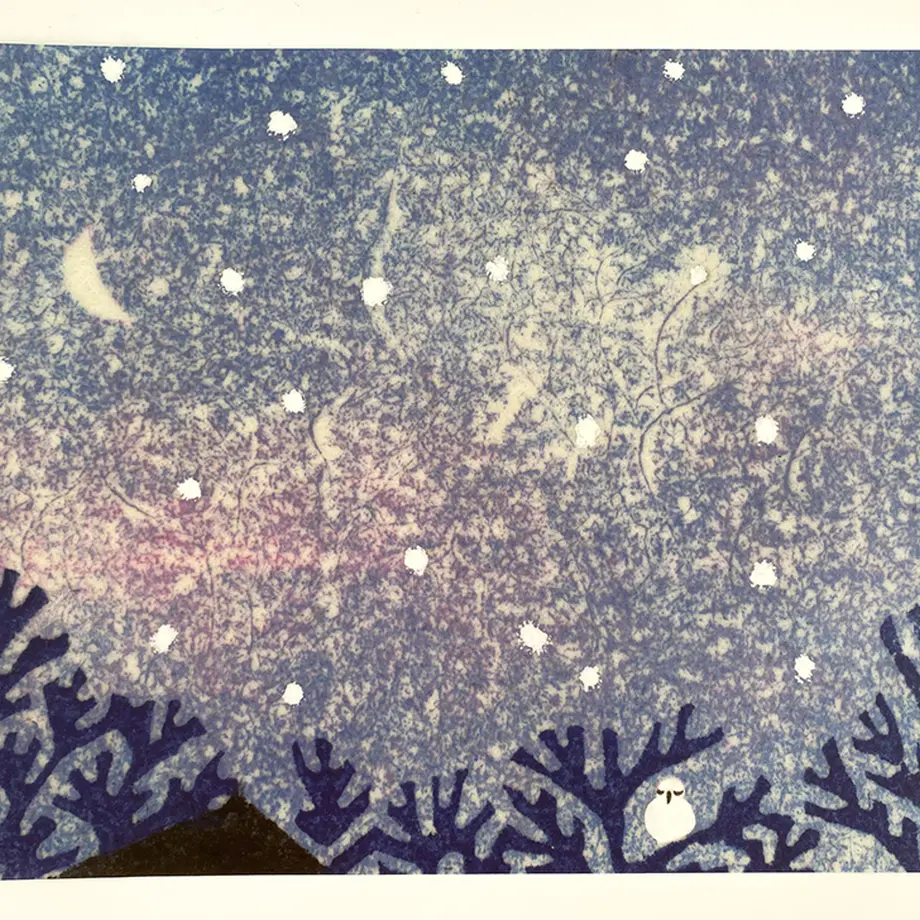 626791cc35631750063ec1b4