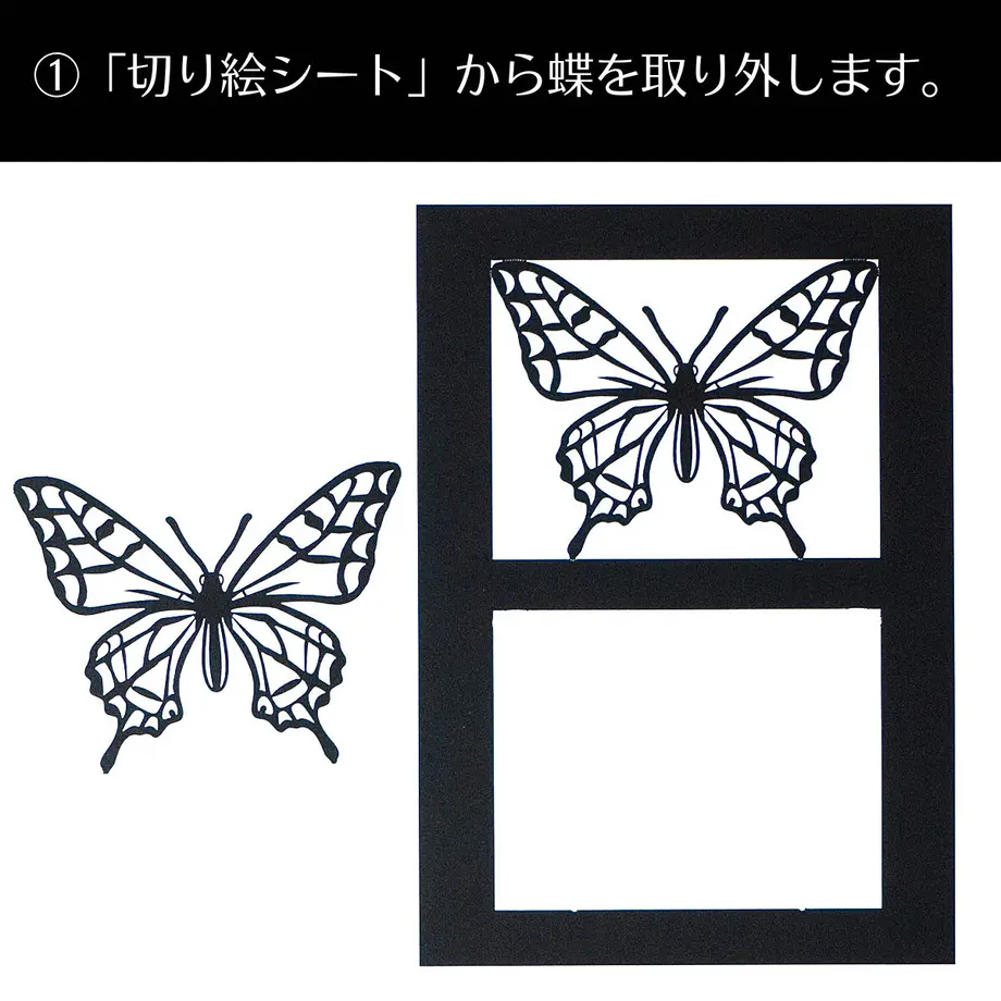 611de95058d2e530e8179ea1
