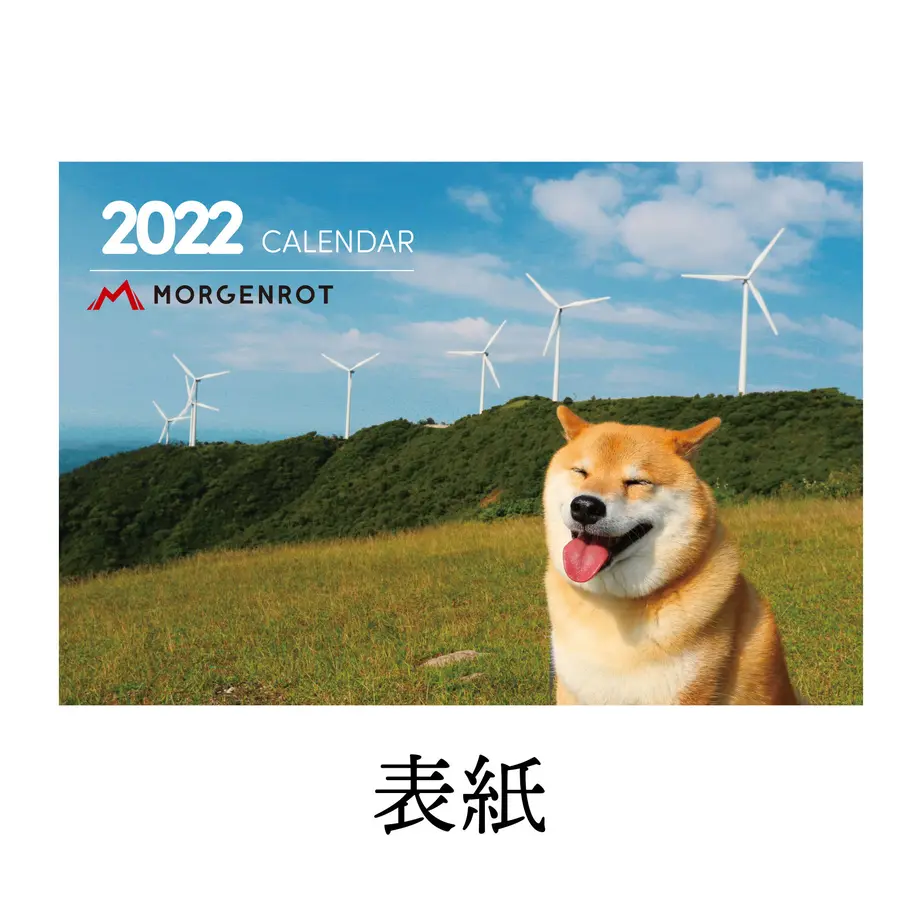 60e7fcb5c3289c74e3f84198