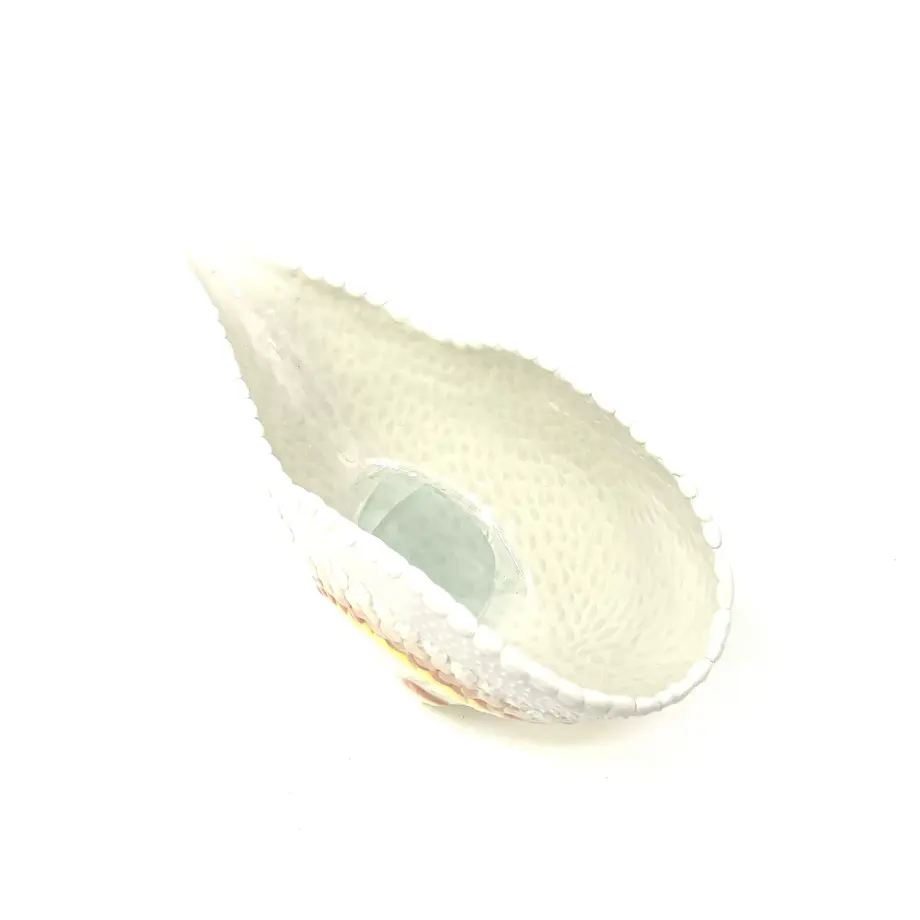 6102537d0d4f3a7c1b8b8afd