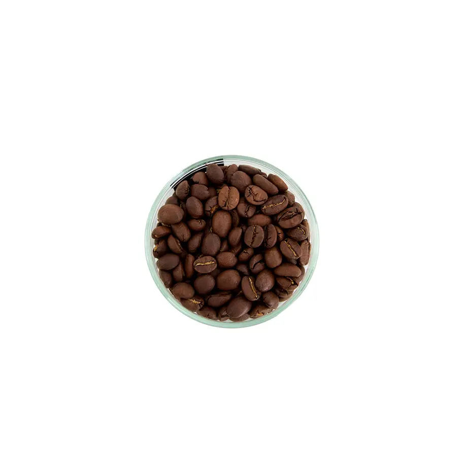 54d70032391bb3a8b10041f1