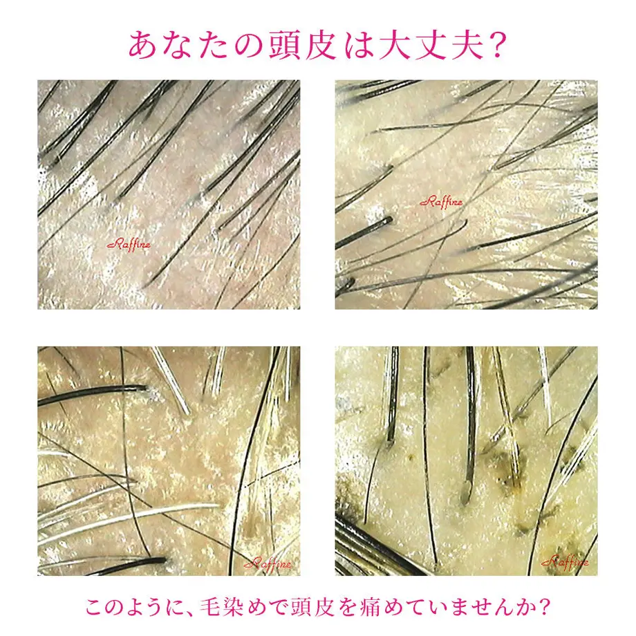 61c06169d26fa559321a7760