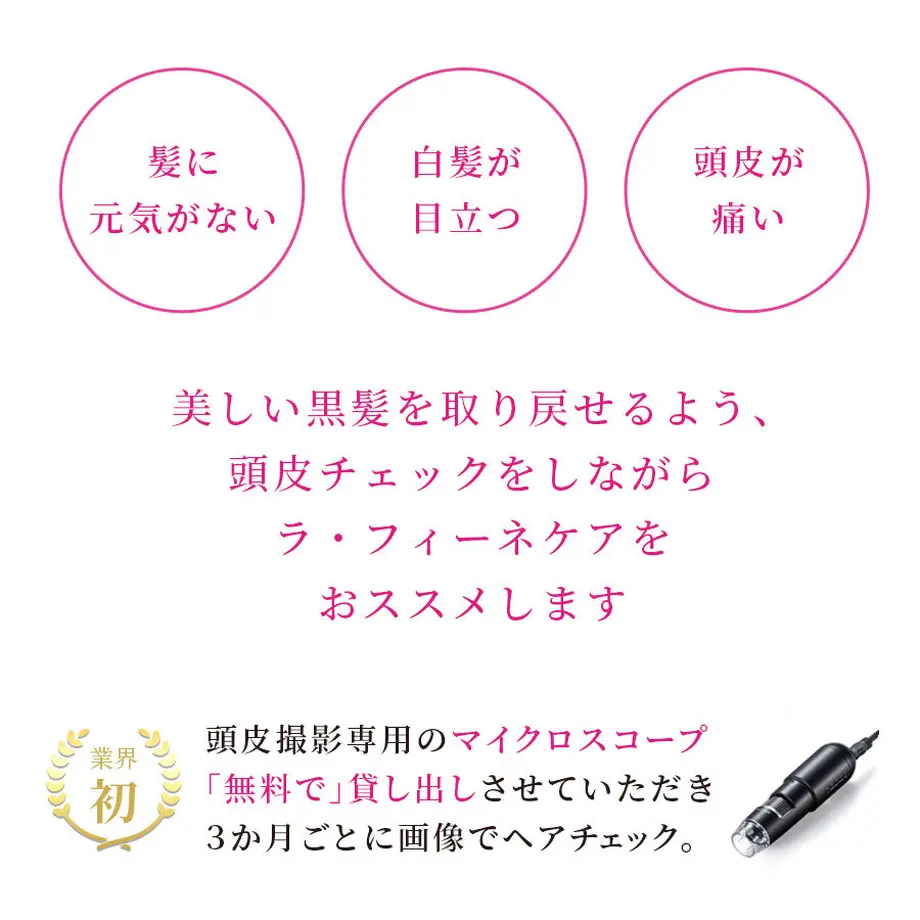 61c06169d26fa559321a7760