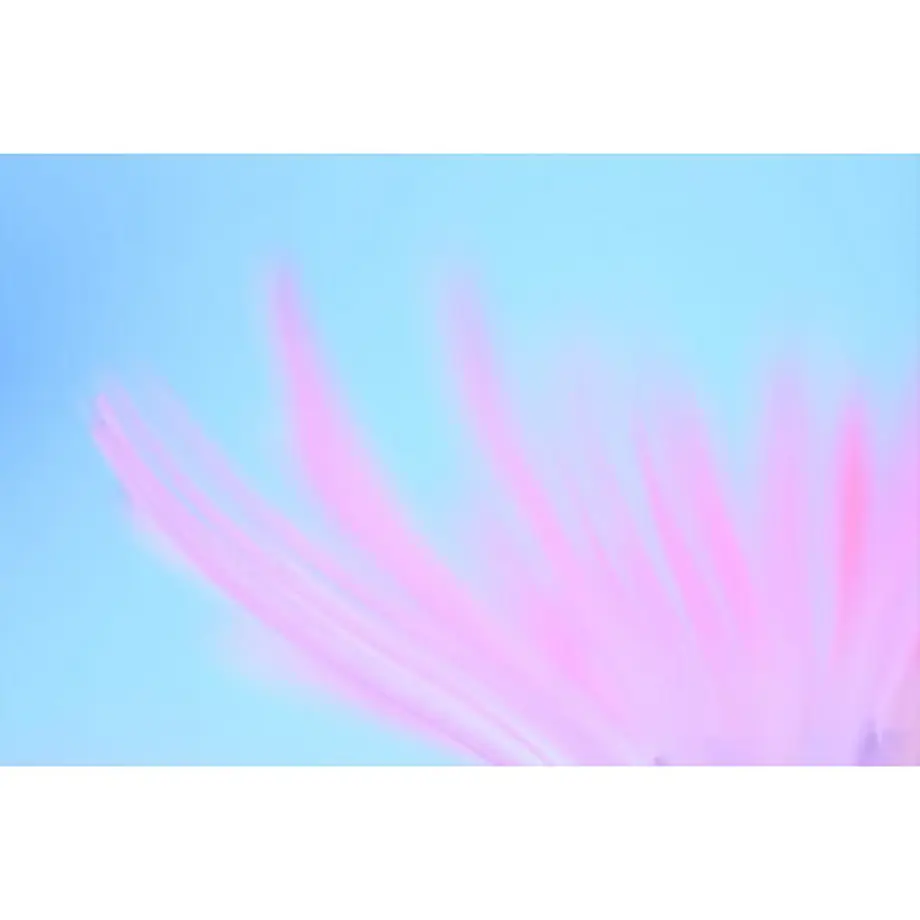 61080043e494336eba78c392