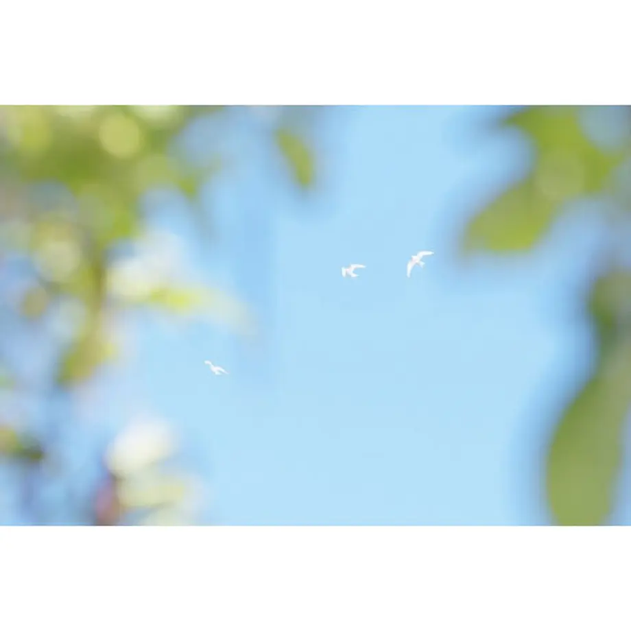 60eaa394228d264526e4e490
