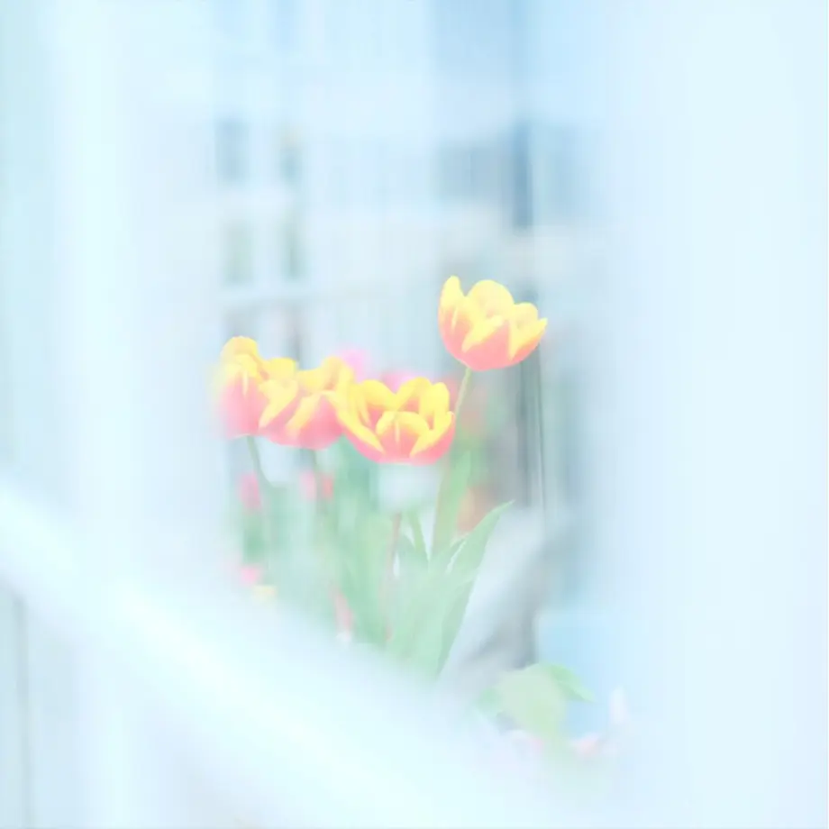60f3c98356e0f15f7411af74