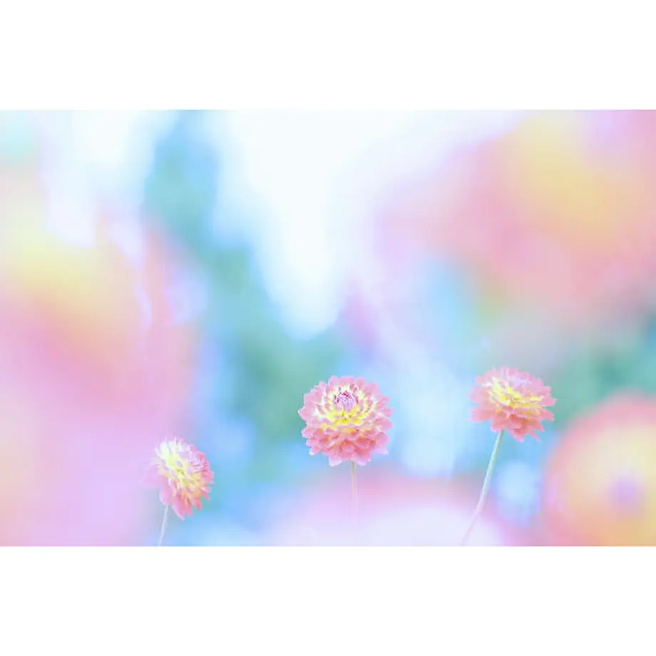 60e0771a59a26c65d11a4e1d