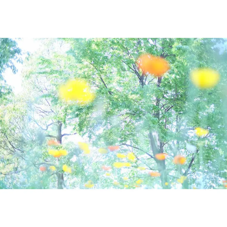 60f3c8380536242fe1bd3387