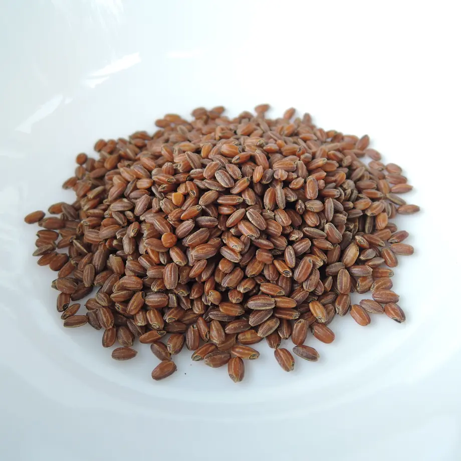 5b5586beef843f6c7e000633